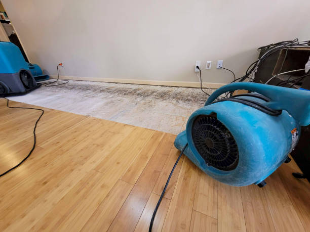 Professional Structural Drying technician working in Thorndike, MA